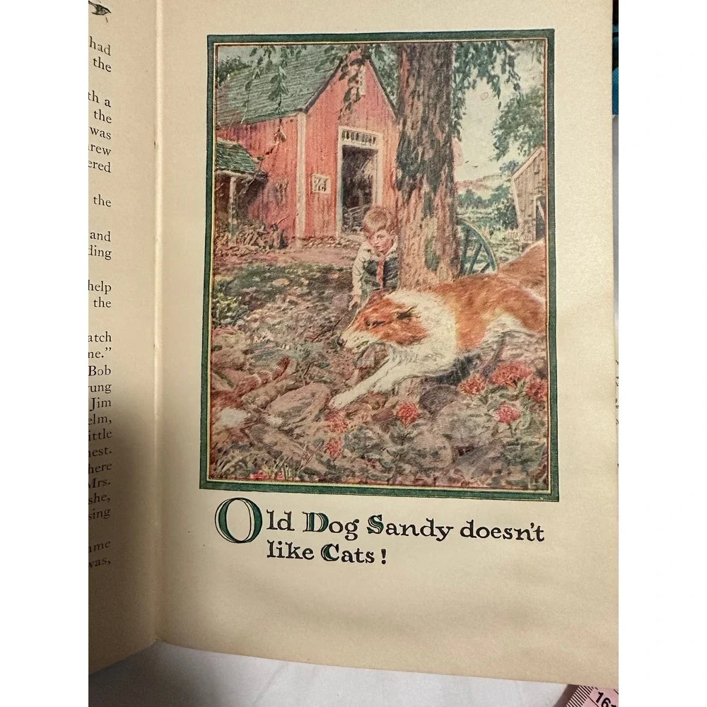 Buddy Jim by Elizabeth Gordon‎ 1922 copyright color illustrations